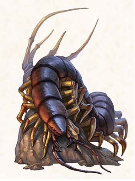 File:Centipedemyth.jpg