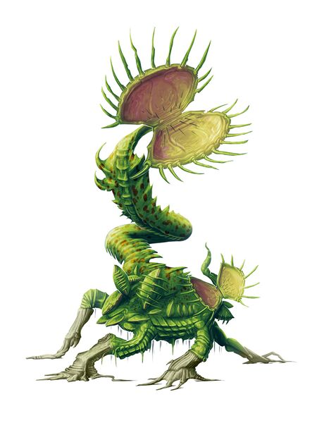 File:Giantflytrap.jpg